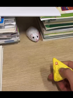 Remote-Controlled Electric Mock Mouse: A Unique, Prank-Worthy, Scary, and Funny Viral Toy